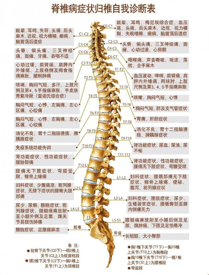 【康医科普】世界脊柱健康日